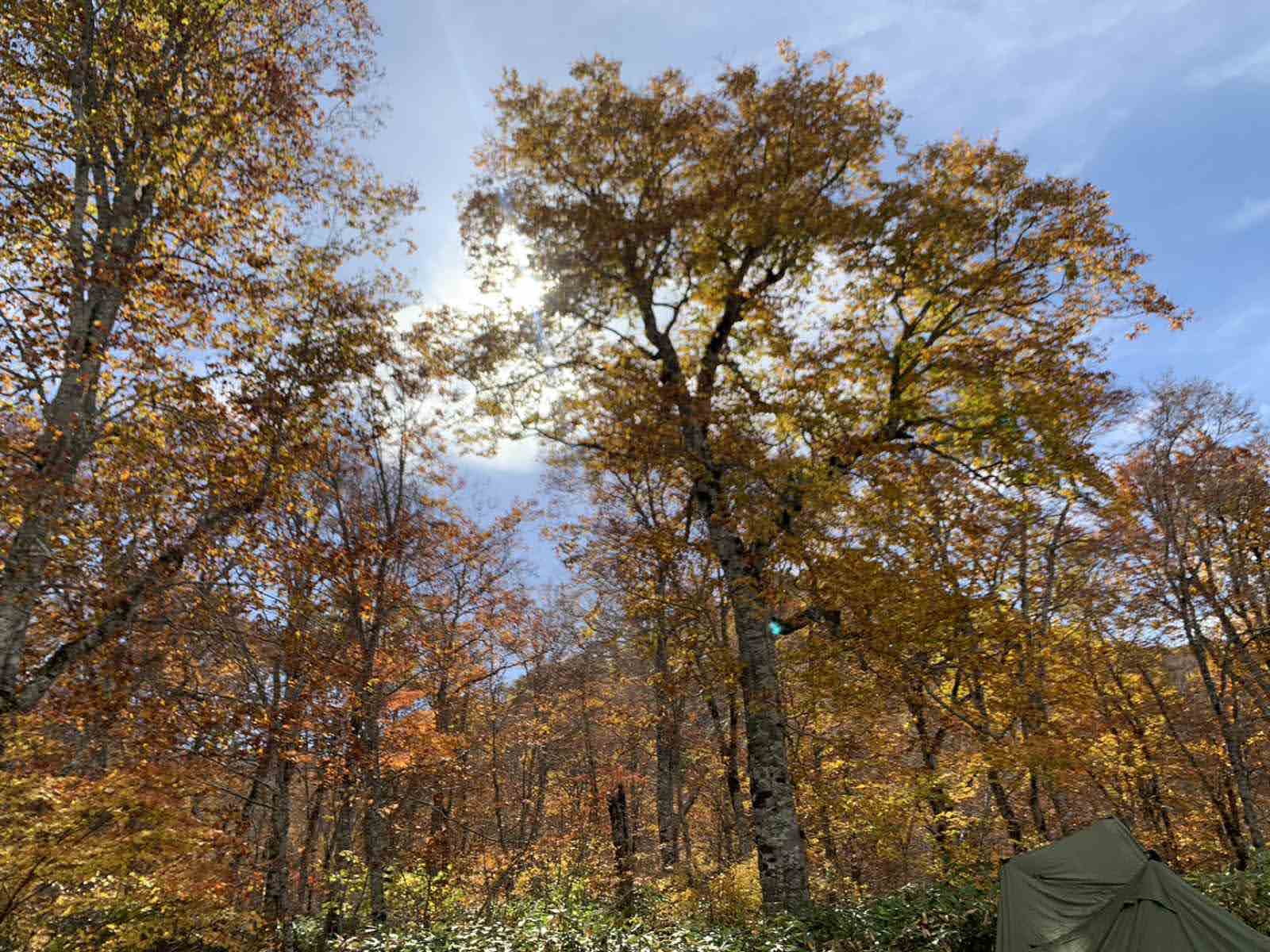 2025年10月19日「照葉峡・尾瀬」