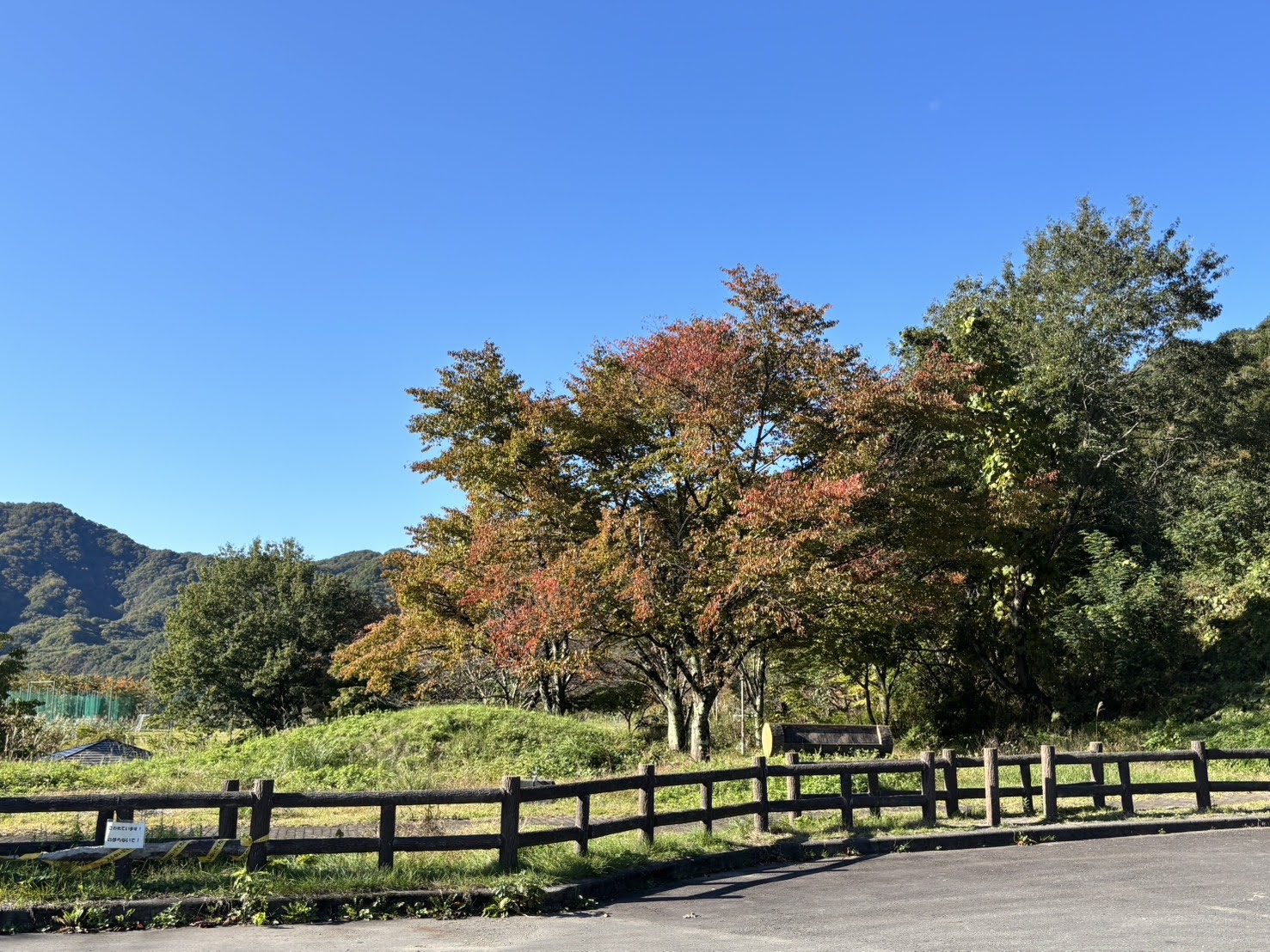 2025年10月23日「藤原湖周辺」