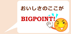 ここがビッグポイント!