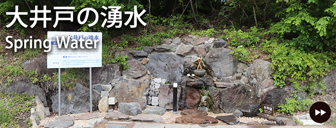 大井戸の湧水