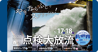 2025大放流