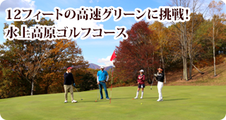 高速グリーンに挑戦