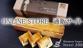 ONLINE STORE