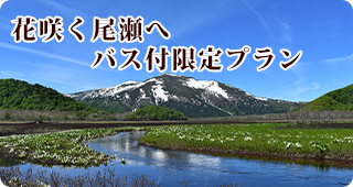 花咲く尾瀬へ！バス付限定プラン