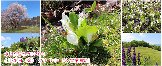 4月25日（金）　グリーンシーズン営業開始！