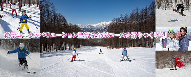 絶景コースとバリエーション豊富な12コースで楽しもう！