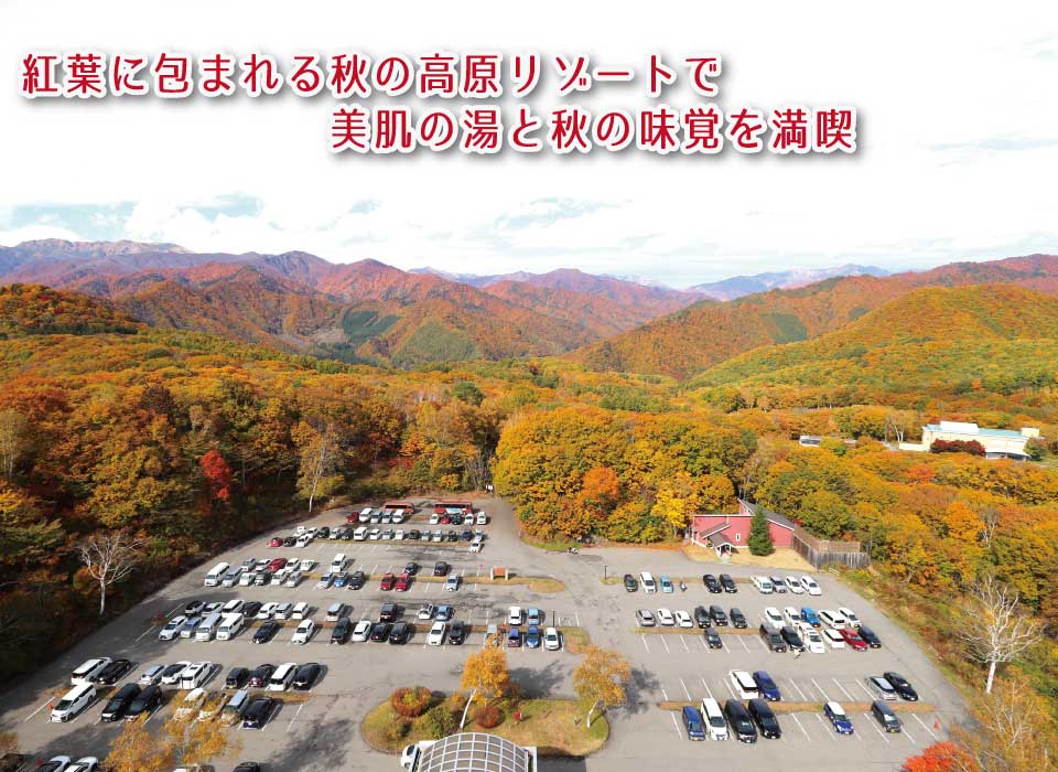 秋の高原リゾート