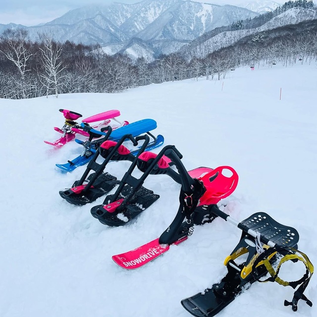 大人が本気で楽しむソリ遊び