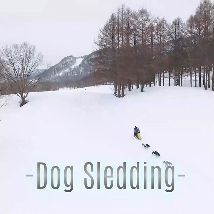 水上高原スキーリゾート　2025年12月19日OPEN！