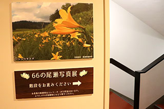  66の尾瀬写真展！