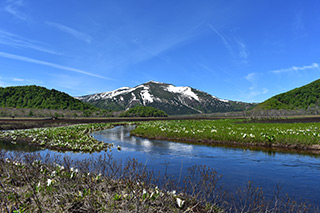 【尾瀬の旅】1泊2食+お弁当･お水付♪ 尾瀬の玄関口「鳩待峠」への送迎バス付2日間