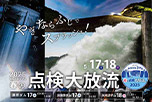 矢木沢ダム 限定放流「優先入場券」付★みなかみ3ダム 春の点検大放流　1泊2食プラン