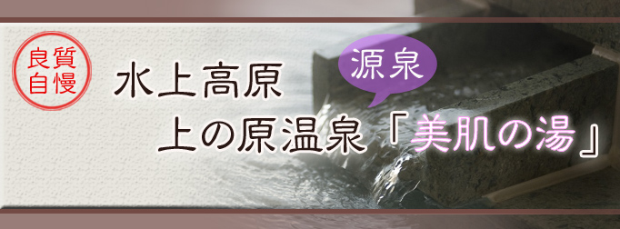 水上高原上野原温泉「美肌の湯」