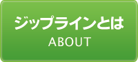 ジップラインとは