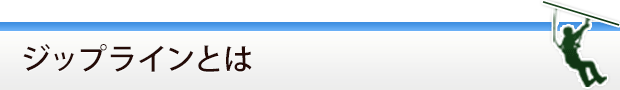 ジップラインとは