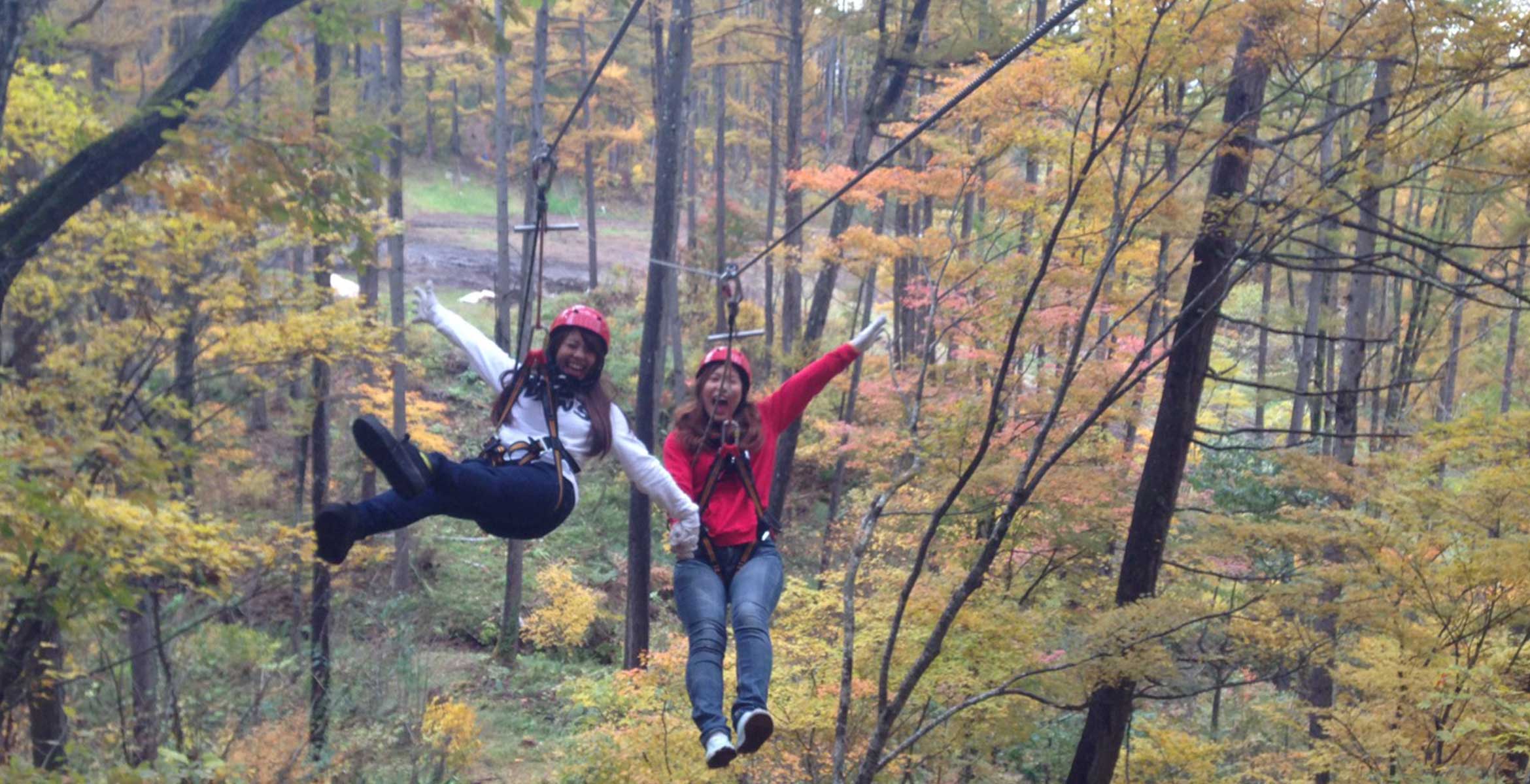 forest_zipline