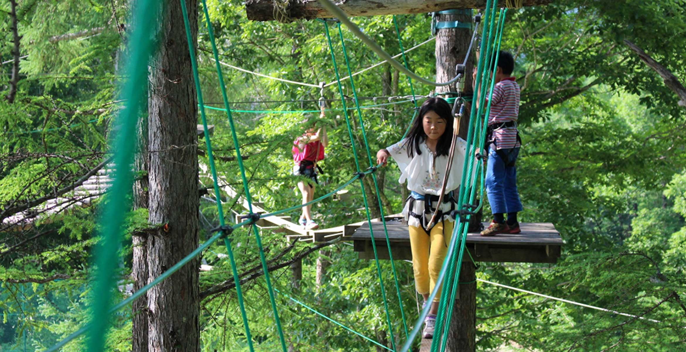 tree_trekking