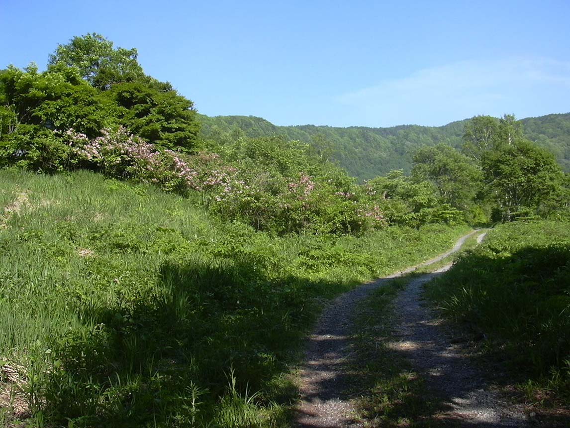 须原徒步路线