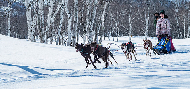 What's Minakamikogen Resort200