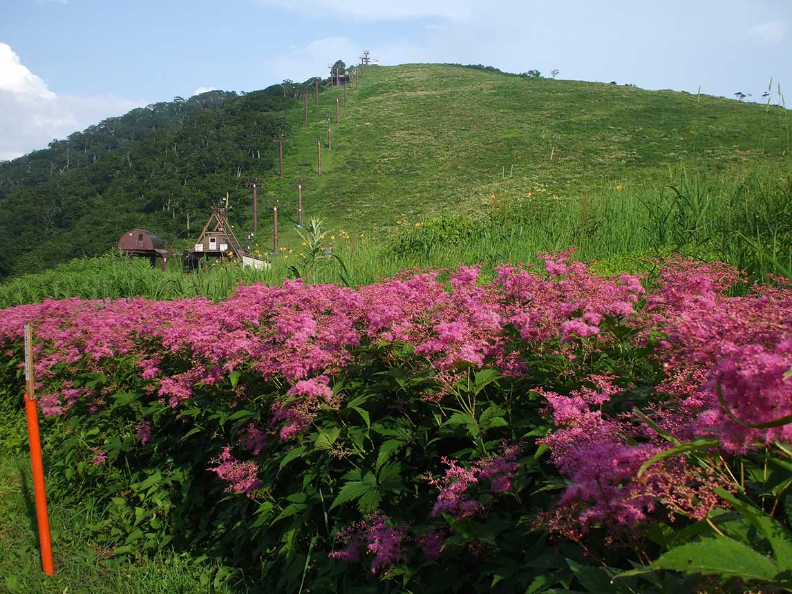 谷川岳索道