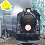 みなかみSL号