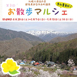 藤原お散歩マルシェ