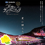 天空のナイトクルージング