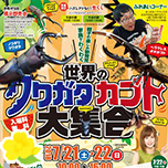 世界のクワガタカブト大集合!