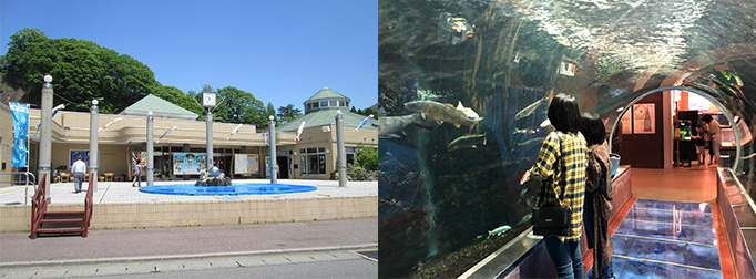 道の駅「水紀行館」