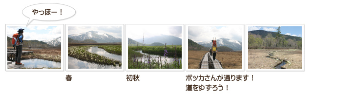 季節によって表情を変える「尾瀬ヶ原」&「尾瀬に住む生き物たち」フォトコレクション1