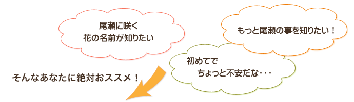 「尾瀬に咲く花の名前が知りたい」「もっと尾瀬の事を知りたい」「初めてでちょっと不安だな・・・」そんな方におススメ！