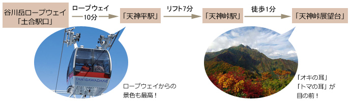 ロープウェイを使って楽々山頂へ！（片道約20分）