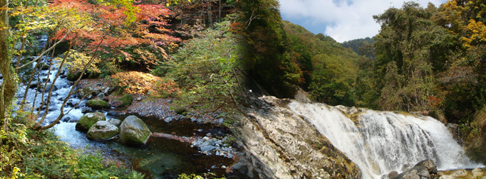 照葉峡　紅葉の名所。11の小滝と清流が美しい別名「関東の奥入瀬」