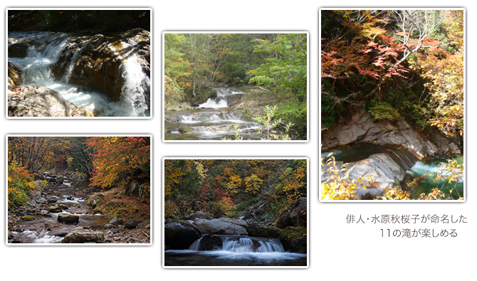11の小滝と清流が美しい渓谷「照葉峡」