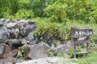 大井戸の湧水