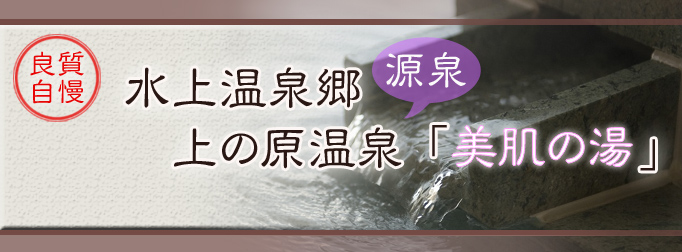 水上温泉郷上の原温泉「美肌の湯」