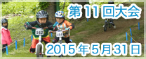 第11回大会　2015年5月31日