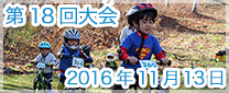 第18回大会　2016年11月13日