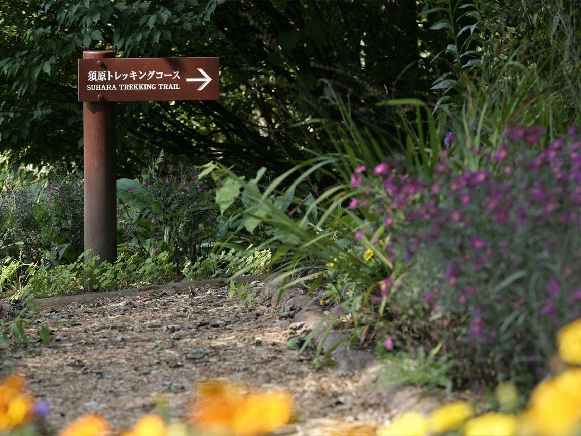 須原高山健行步道