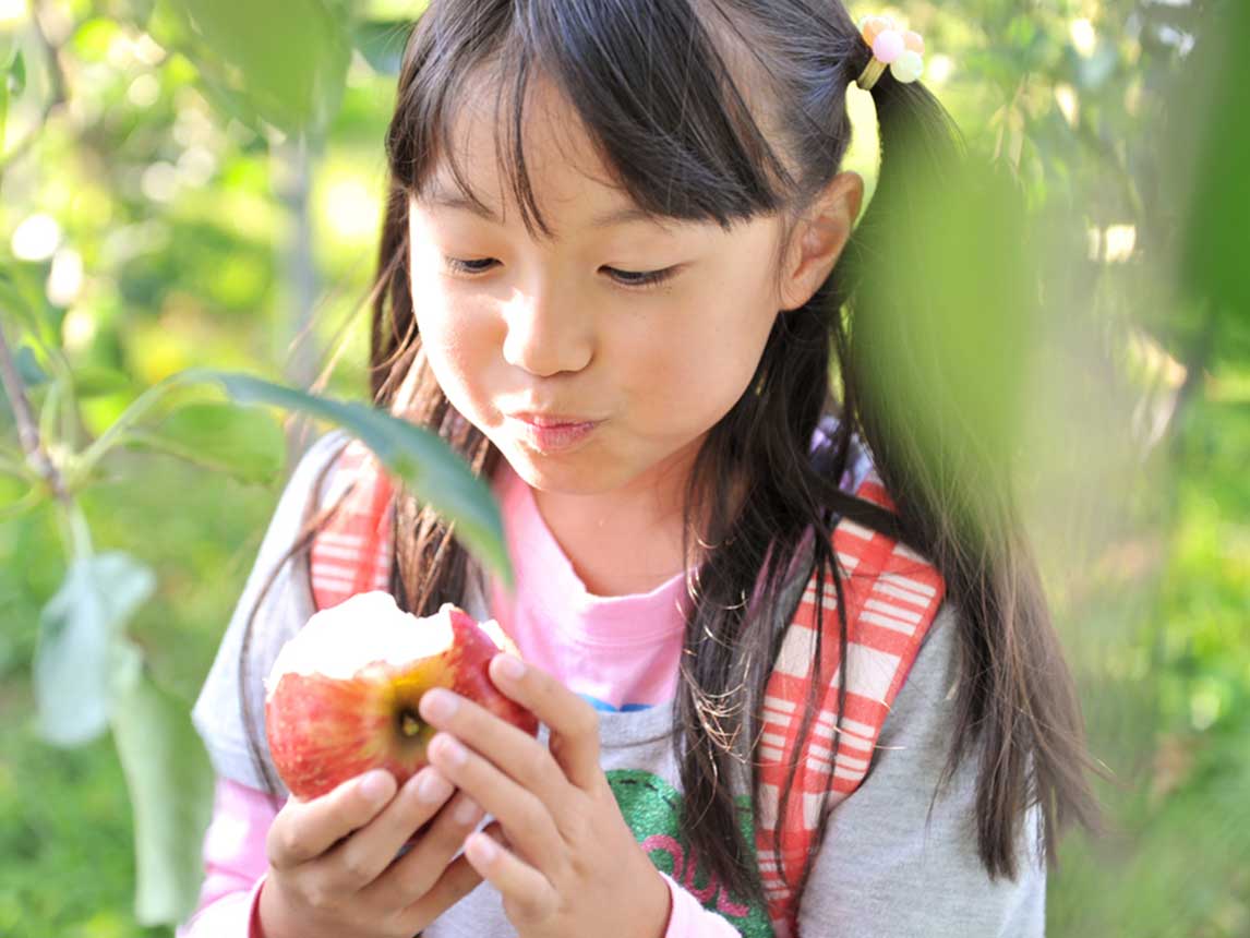 Fruit Picking