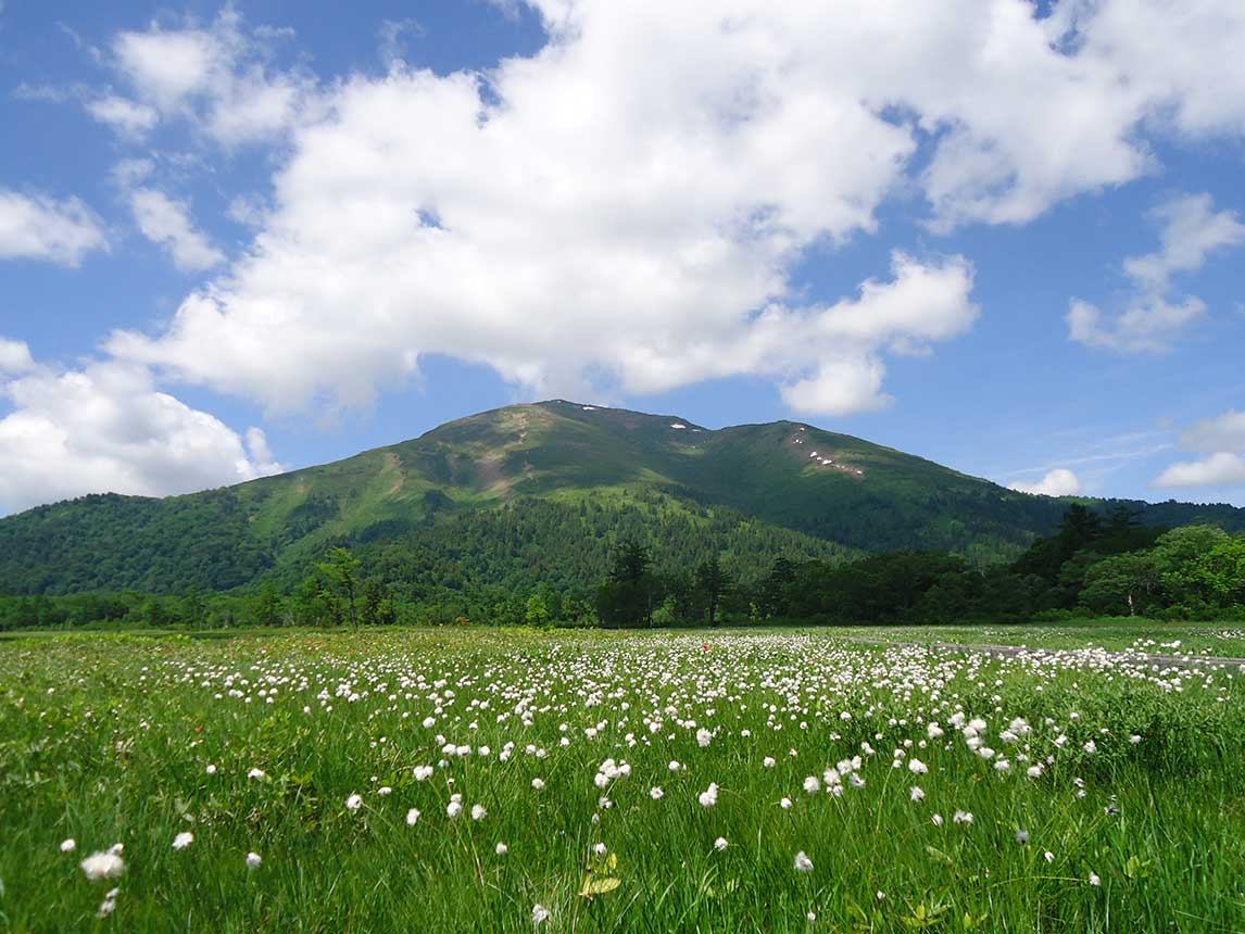 尾瀨之旅