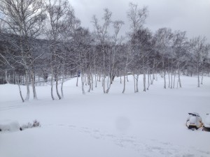 img_3501