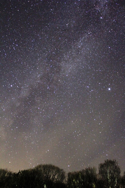 満天星空！星い～っぱい♪鑑賞会