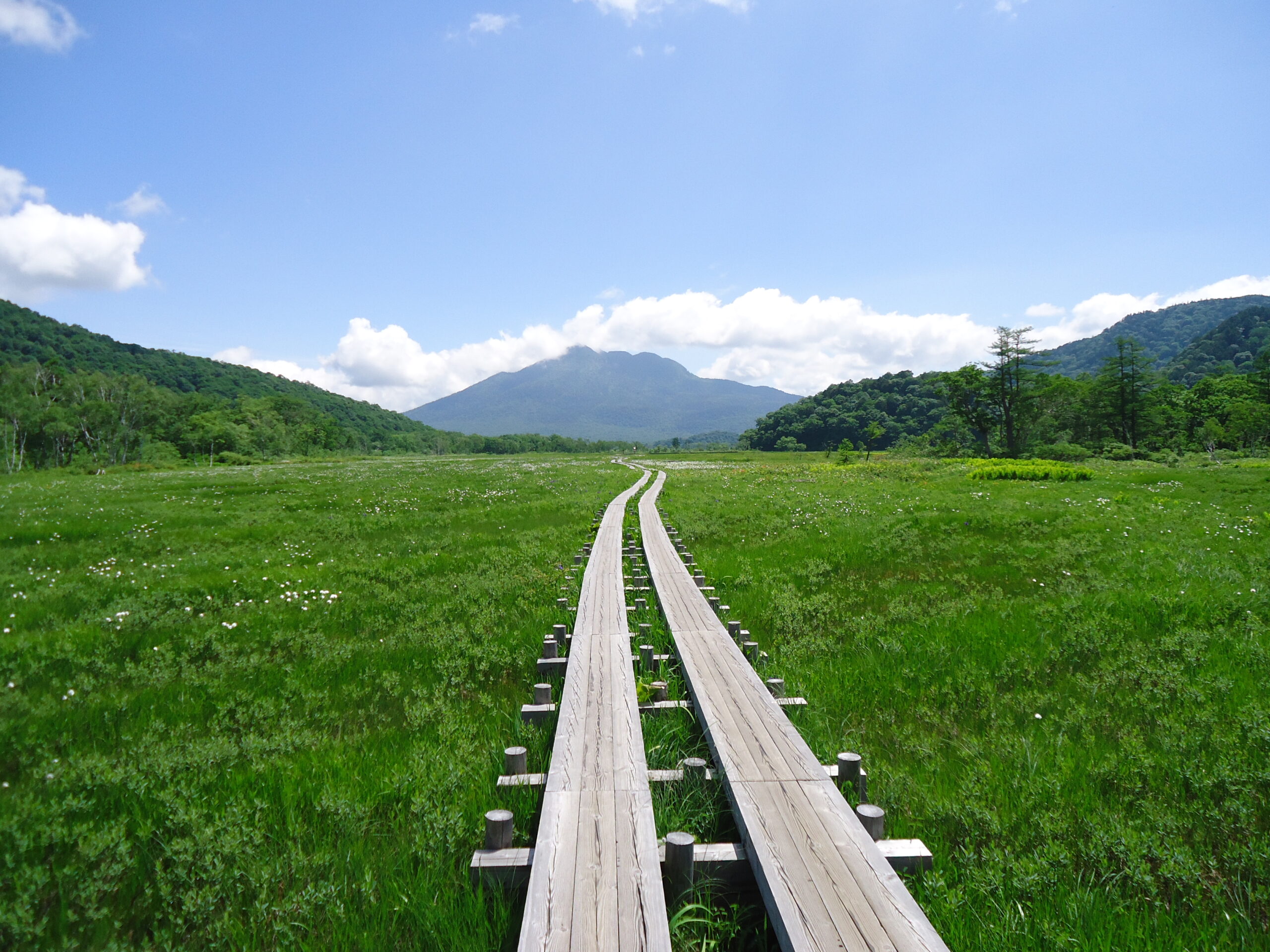 尾瀬