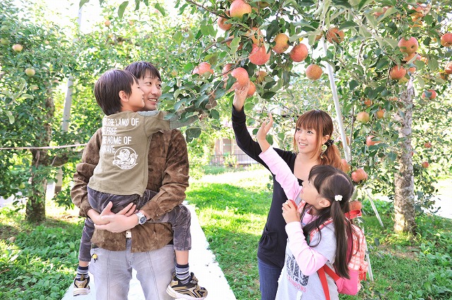 ～もぎたて果実と、森の休日～ 　狩って、つくって、味わうフルーツ狩り　1泊2食付　※マイカープラン