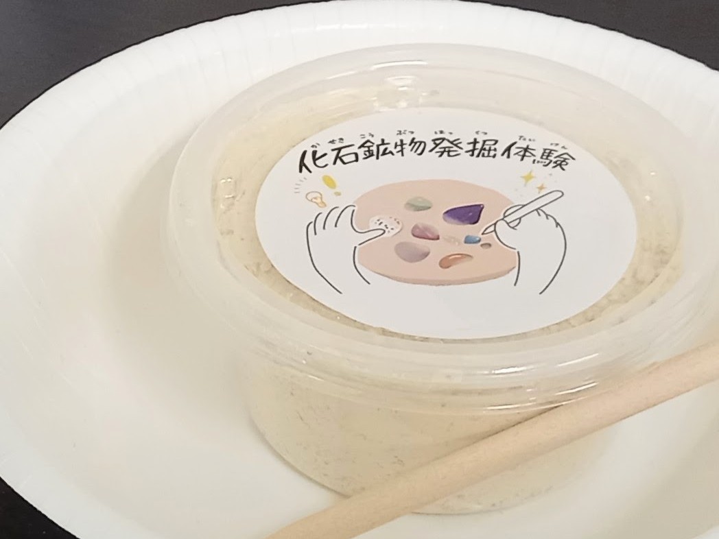 化石鉱物発掘体験