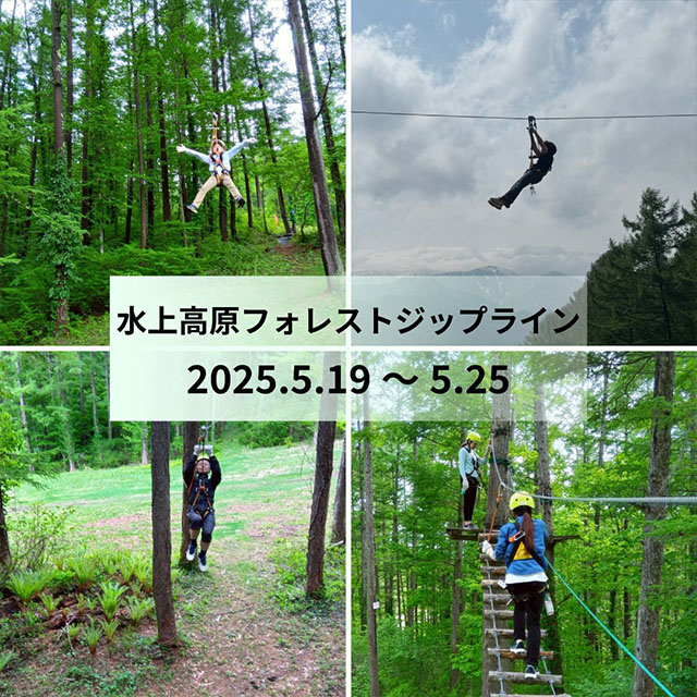 水上高原フォレストジップライン
